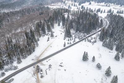 Teren premium pentru dezvoltare de lux – Drumul Poienii, Brasov - 29