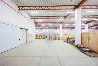 Spațiu industrial 1000 mp de închiriat în zona Vest - 5