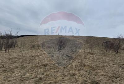 Teren intravilan 2307 mp în Salicea, zona premium, aproape de Cluj - 11