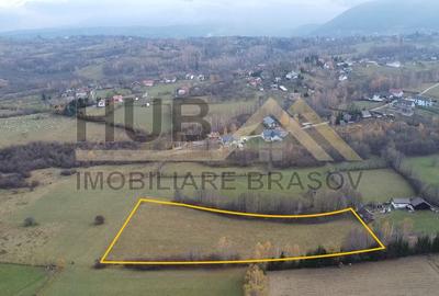 Teren Construcții intravilan de 9053 mp, în Tohănița