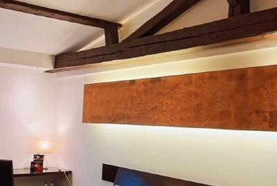 Proprietar vând Hotel Boutique  la Timișoara - 5