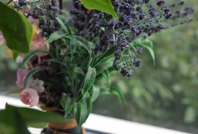 De Inchiriat Apartament 2 Camere AFI - Drumul Taberei - 5