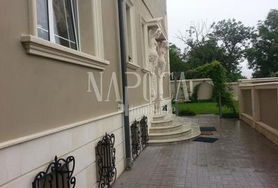 Casa 9 camere de vanzare in Centru, Cluj Napoca - 5
