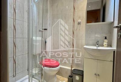 Apartament cu 4 camere, de inchiriat, centrala,  Girocului, Timisoara - 15