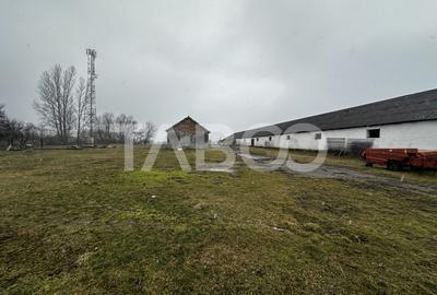 Spațiu industrial, de 1,282.00 mp, în Mohu