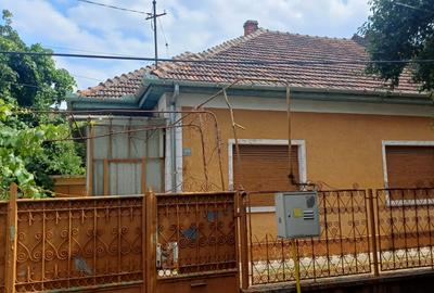 Casa individuala Locatie deosebita Elisabetin-Semicentral - 1