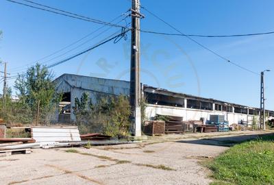 Spațiu industrial, 1994 mp în Căteasca