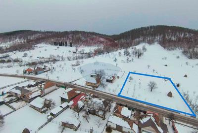 Teren Construcții intravilan de 3000 mp, în Damiș