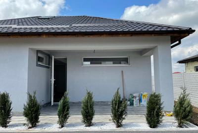 Vidra-Cretesti-Casa individuala - 3