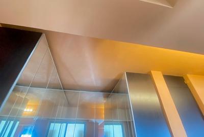 Bd. Unirii 5 camere Loft ! - 16