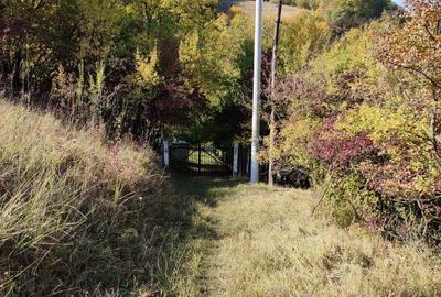 TEREN INTRAVILAN CABANA SI DEPOZIT DE UNELTE - 1