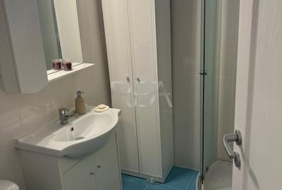 Apartmaent 2 camere , mobilat complelt - Ion Mihalache - 5