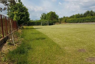 VANZARE TEREN CU ACCES LACUL SNAGOV - 3