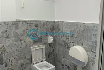 Royal Imobiliare - Inchiriere spatiu industrial zona Bucov - 10