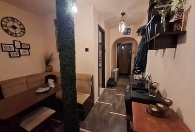Drumul Taberei - Raul Doamnei - Apartament 2 camere -  Modern - 18