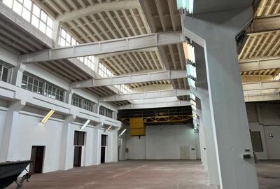 Spatiu de depozitare si productie Otopeni soseaua de centura - 11