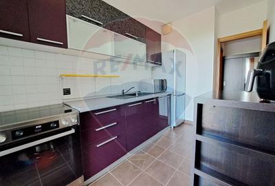 Asmita Gardens - Apartament 2 camere de inchiriat - Tineretului - 14