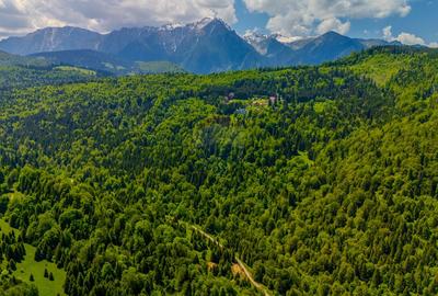 Teren extravilan de 14400 mp, în Cheile Râșnoavei