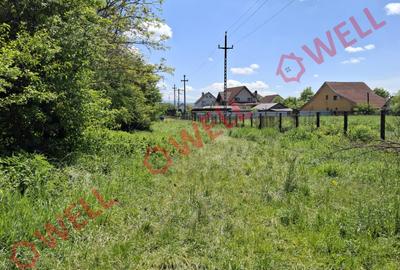 De vânzare teren intravilan de 30 000 m² (3 ha) în Reghin - 14