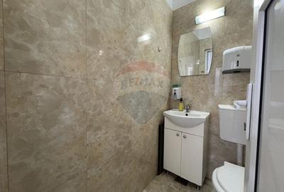 Spațiu comercial Alexandru Lapusneanu - 10