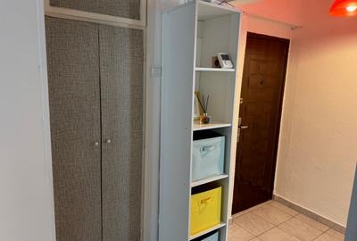 Rahova Margeanului vav Profi ap.cu 2 camere de inchiriat - 9