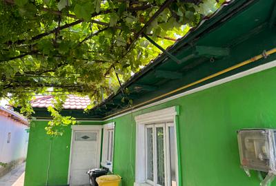 Vând casă zona Viile Noi , 120 mii euro - 14