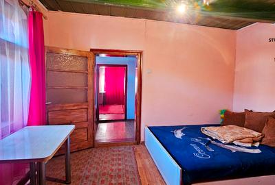 Casa individuala P+M,casa batraneasca locuibila si 805mp teren,Savinesti - 18
