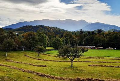 Teren superb de 16240mp, parcelabil, in Bran la intrare in Moeciu de Jos - 9