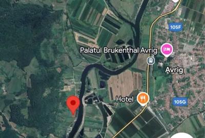 VAND 7500 MP TEREN ZONA BRADU - 2