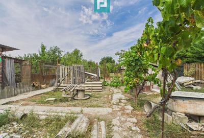 Casă individuală în Săcălaz - 2063 mp teren - 28