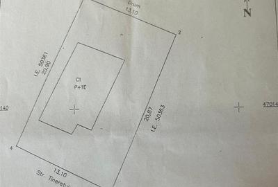 Casa P+1 de vanzare in Campineanca, cartier tineretului - 16