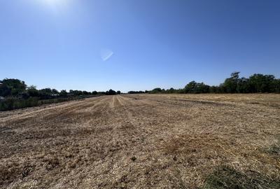 Teren Construcții intravilan de 5208 mp, în Dascălu