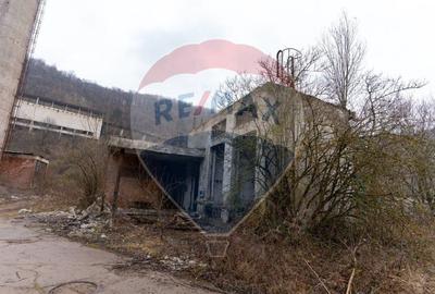 Platforma industriala 33.000 mp | fosta fabrica dolomita | acces TIR | - 13