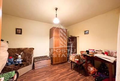 Casa individuala, 4 camere, 2600mp teren, Barcea Mare in Hunedoara - 14