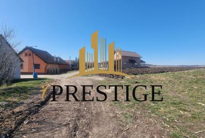 TEREN INTRAVILAN PENTRU CONSTRUCȚIE CASĂ | ȘURA MICĂ | PUZ APROBAT - 1