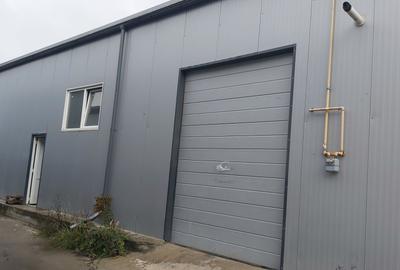 Depozit de inchiriat - 1