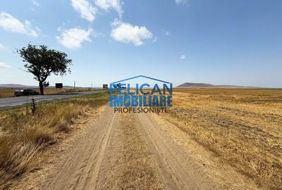 Teren intravilan M. Kogalniceanu, 4000MP, la drumul national - 5