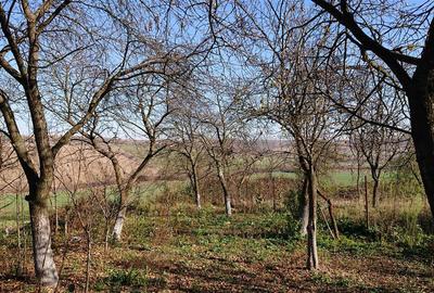 Vand teren in Santelec - 4