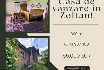 Casă de vânzare în Zoltan! - 1