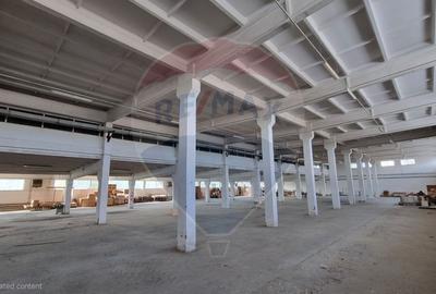 Spațiu industrial 4.4Ha Teren și 15.000mpc - Zona Industrială - Hârlău - 1