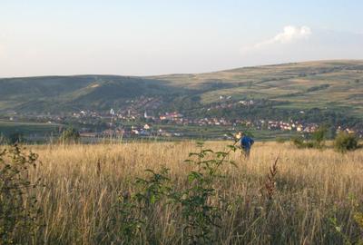 INVESTITIE! Teren intravilan 5700mp - Chinteni, jud Cluj! - 1