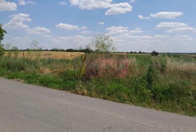DE VANZARE 2 LOTURI LIPITE (TOTAL 16.500 MP) IN SAT TEISORI (GR) - 8