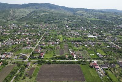 Teren Intravilan de 3,090 mp în Cuvin - 12