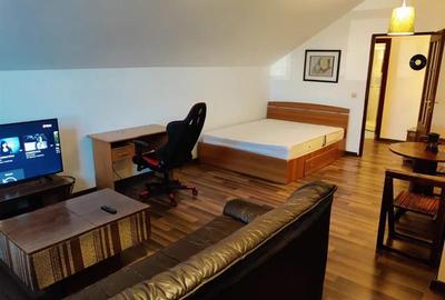 Apartament 1 camera CENTRU -350 EURO