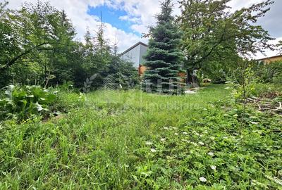 Casa 6 camere | 1208 mp teren | Gruia | Zona 7 Strazi! - 3