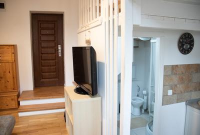 Unirii Mitropolie Studio Premium  In Bloc tip Vila cu Centrala Proprie - 20