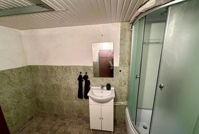 Casa de vanzare in Cig (Tasnad), Satu Mare - 10