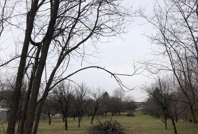 Teren intravilan Breaza oportunitate investitie - 1