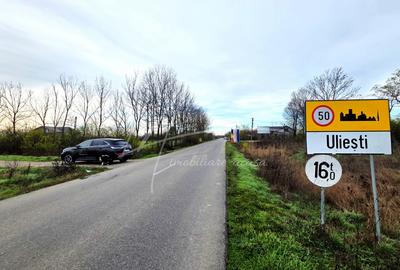 Teren intravilan curti-constructii, industrial, Autostrada A1 - km 62 - 3