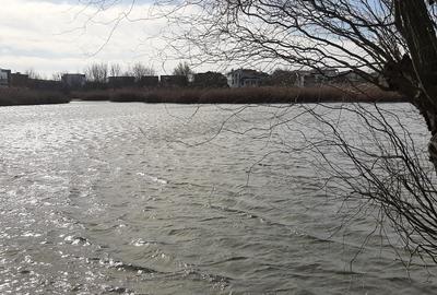 Teren de vanzare la Lac, Corbeanca - 11